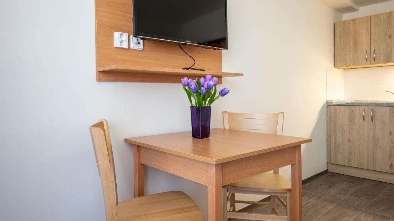 Apartmany A Studia Zamecky Park Litvinov Bagian luar foto