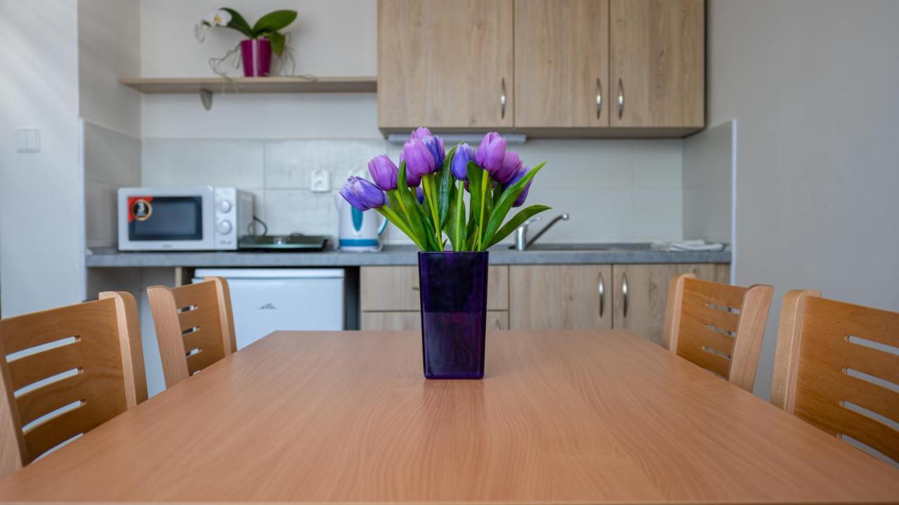 Apartmany A Studia Zamecky Park Litvinov Bagian luar foto
