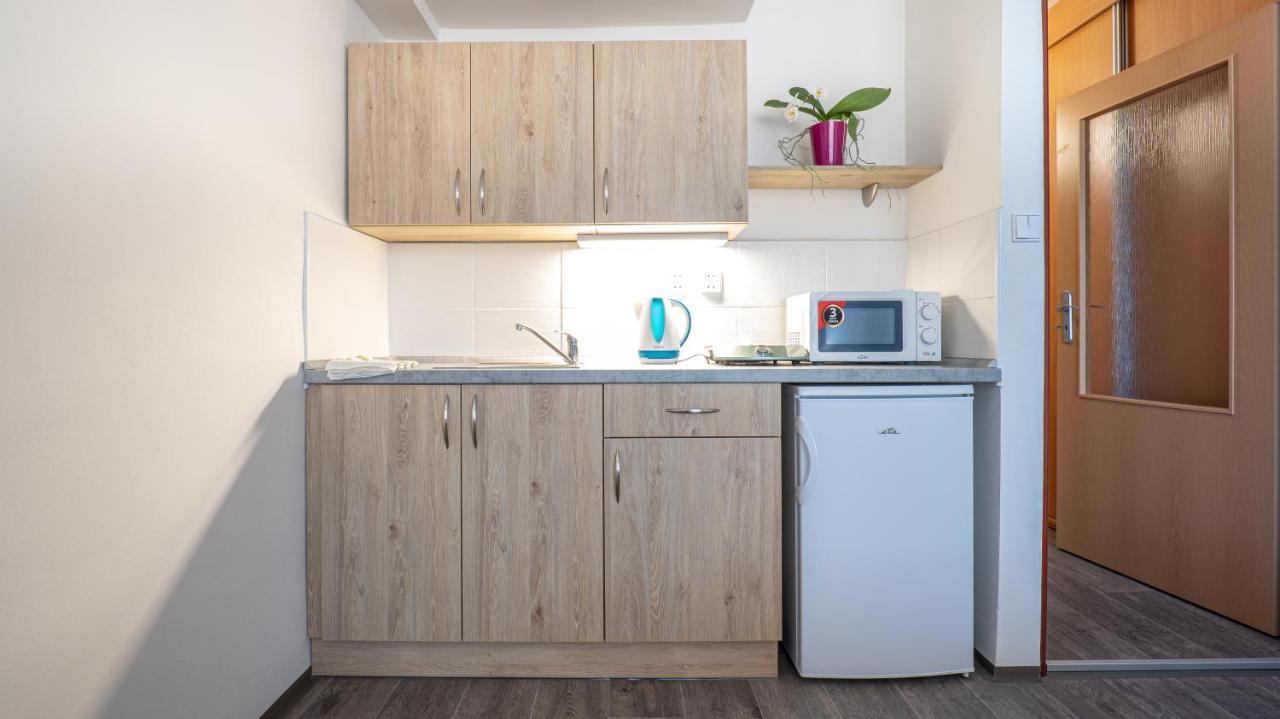 Apartmany A Studia Zamecky Park Litvinov Bagian luar foto